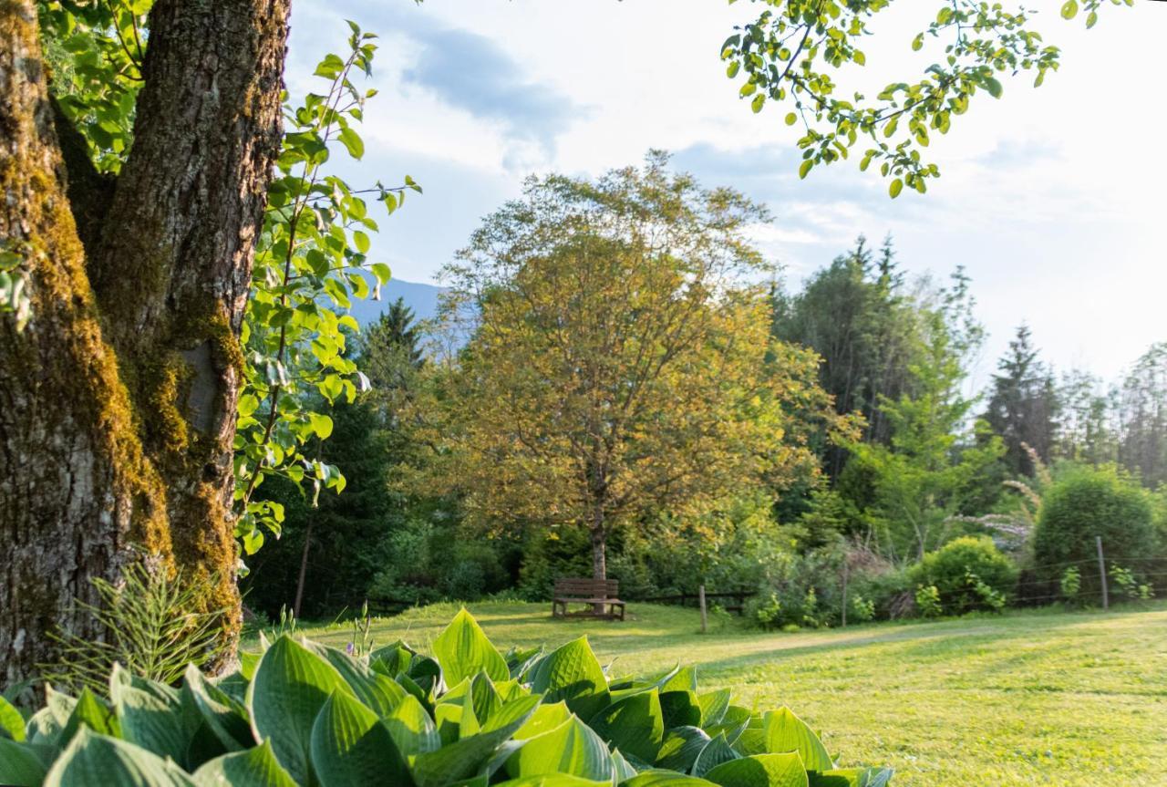 Nötsch Gartenlodge Auszeit المظهر الخارجي الصورة