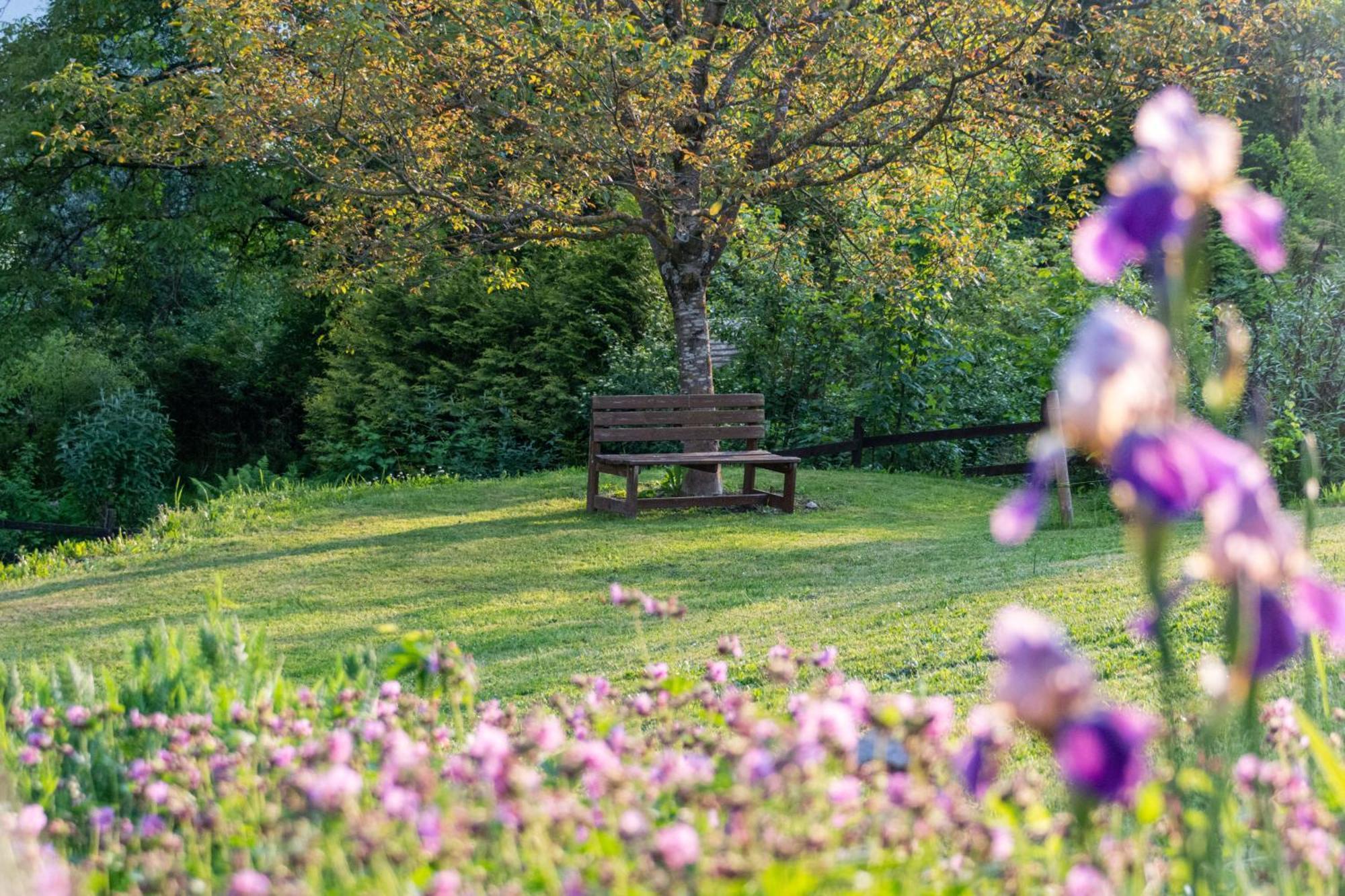 Nötsch Gartenlodge Auszeit المظهر الخارجي الصورة