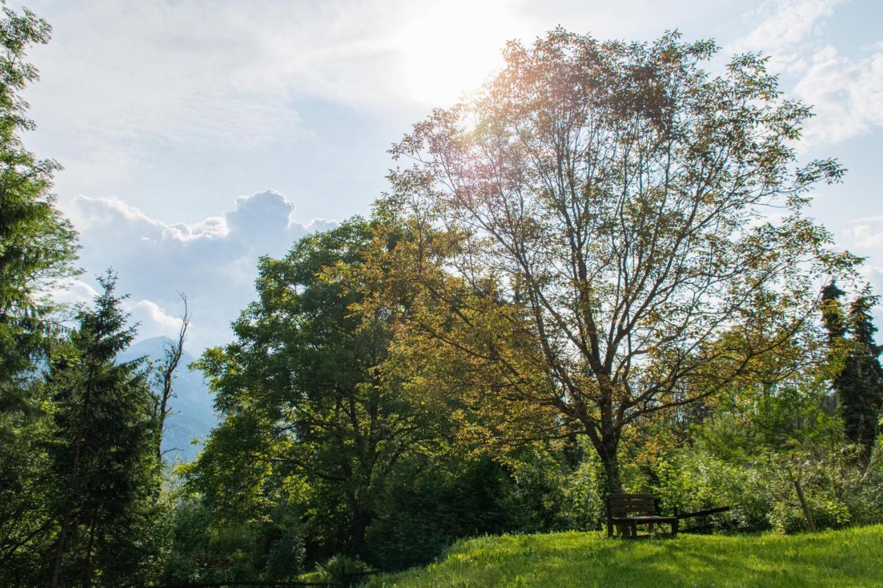 Nötsch Gartenlodge Auszeit المظهر الخارجي الصورة